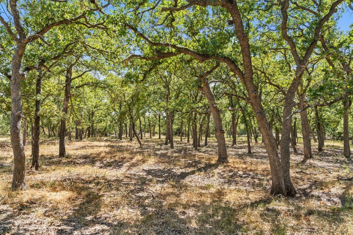 18.145 Acres Herber-schaefer Rd