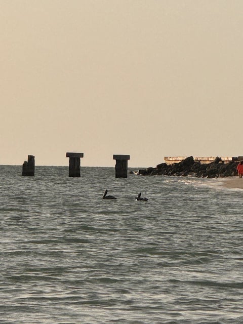 Boca Grande Tarpon Tournament!