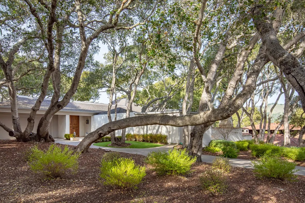 Oak Refuge