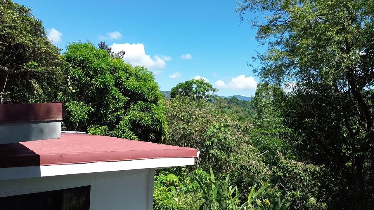 2 Homes in Ojochal Live and Earn in Paradise