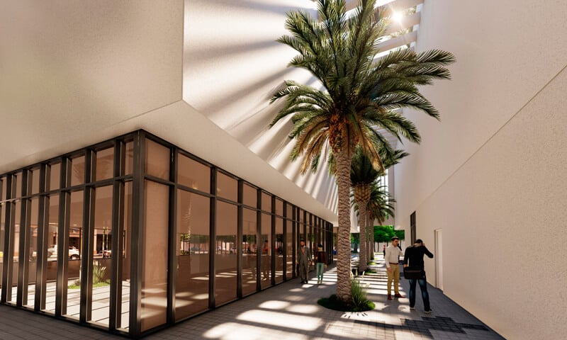 Cassia Coral Gables