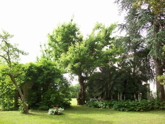 Magnificent Historic Villa in Tuscany
