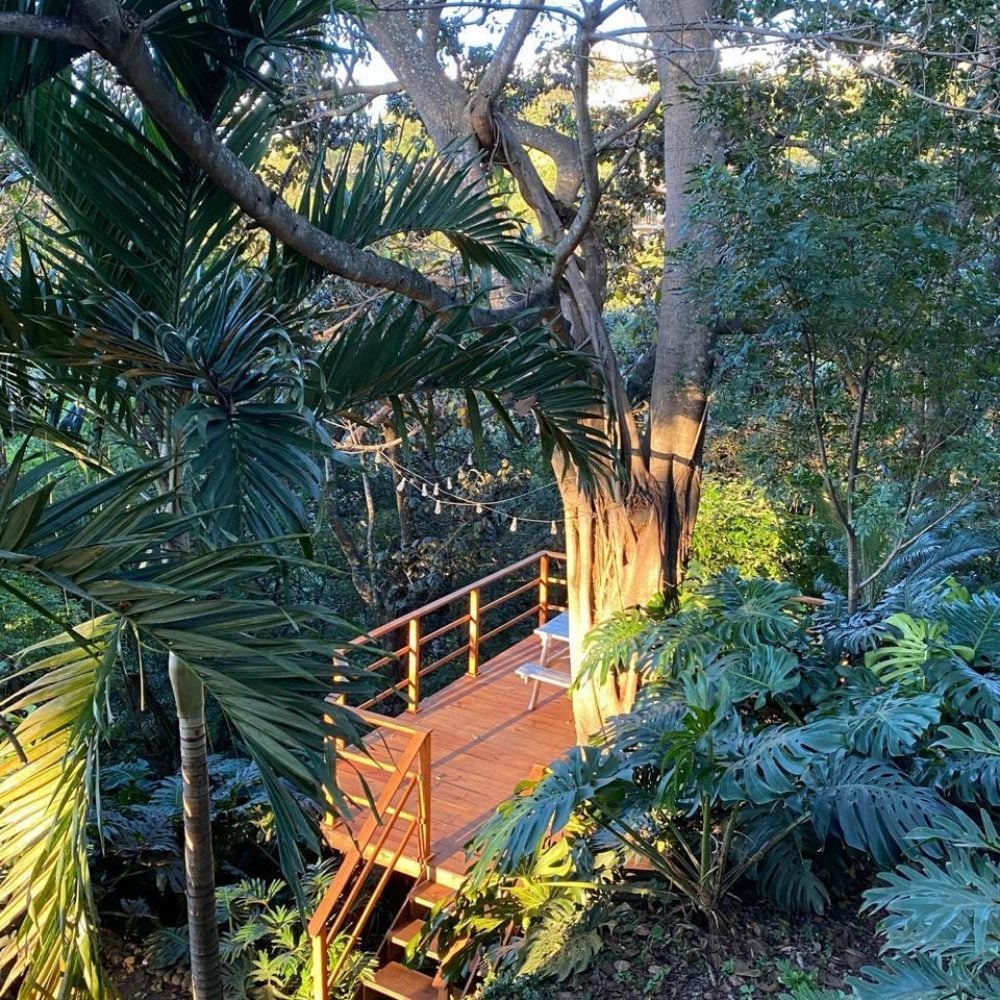 Villa Real Jungle House