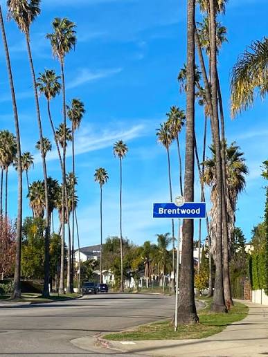 Brentwood Real Estate After the Palisades Fire: What's Happening to Condos and Single-Family Homes in 2026