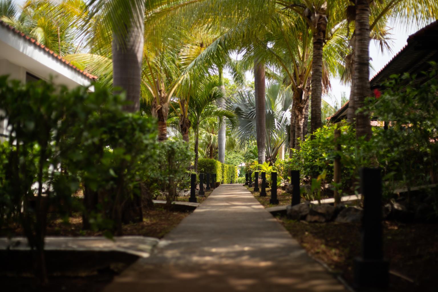 Drift Away Lodge | Near the Coast Hotel/Resort/Hostel For Sale in Playa Avellanas
