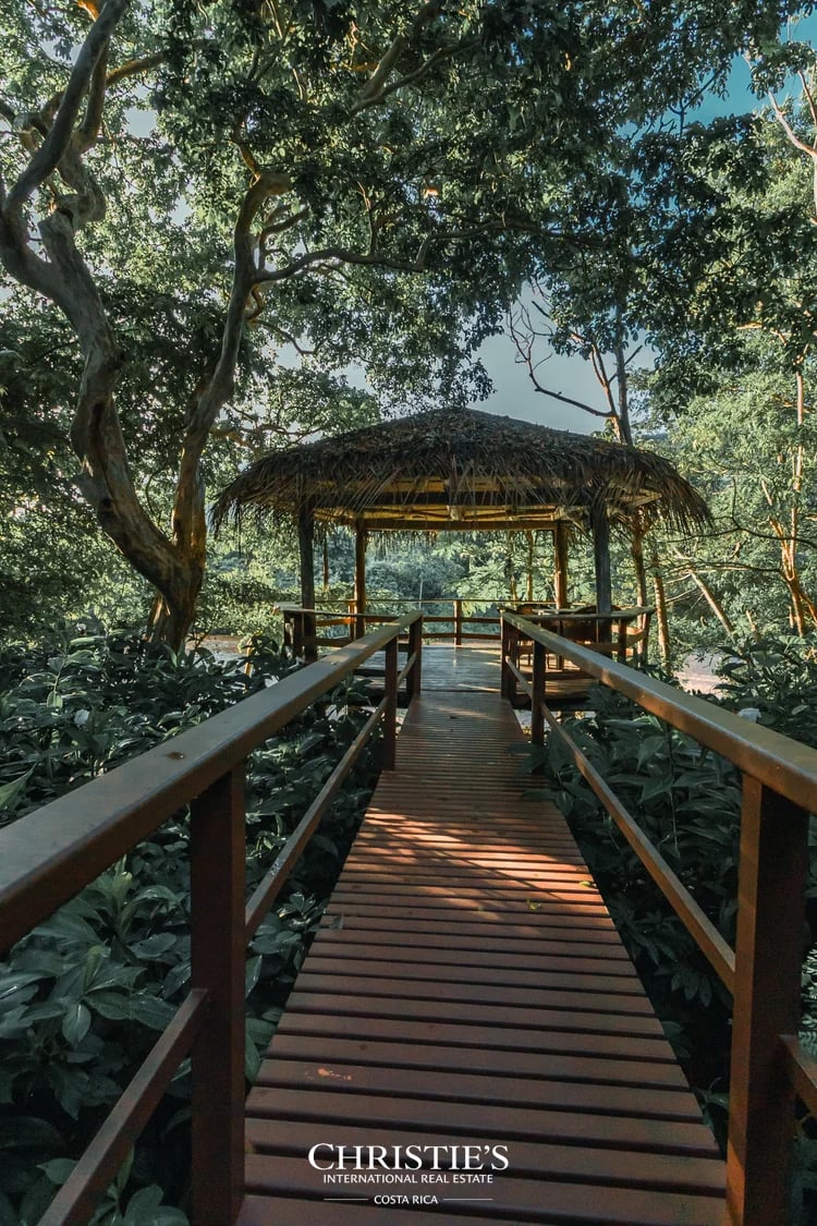 Finca Austria - A 149-Acre Private Estate with Residences, Infrastructure & Expansion Potential