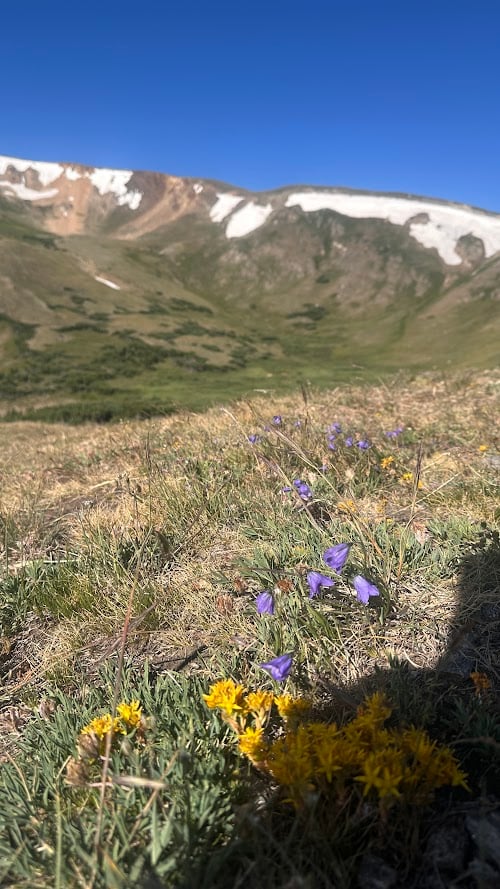 Driving Into the Wild: A Sensory Journey Along Old Fall River Road