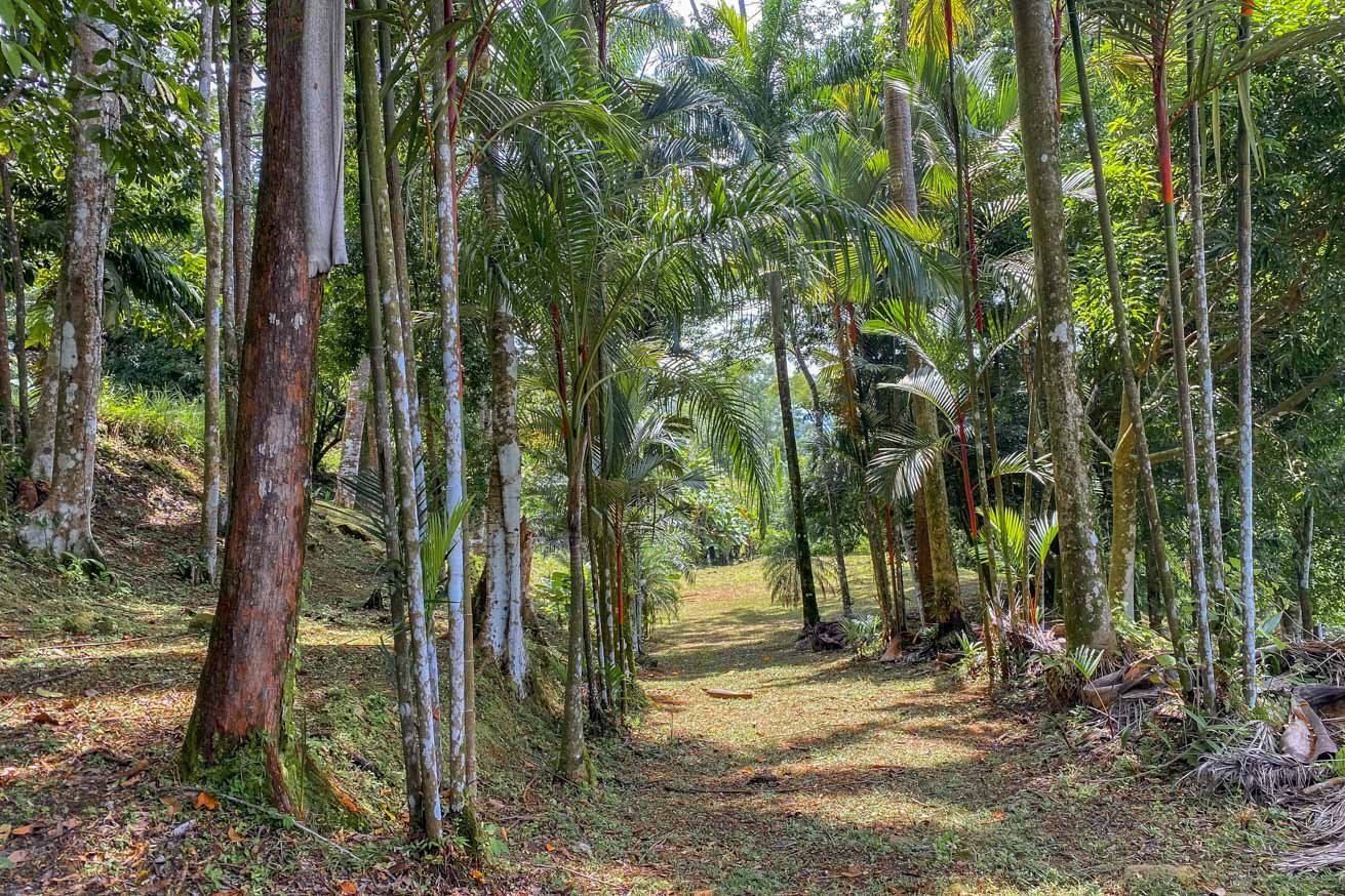 Large Uvita Lot With Whale’s Tail Ocean Views, Sunsets & Legal Water – Ready to Build!