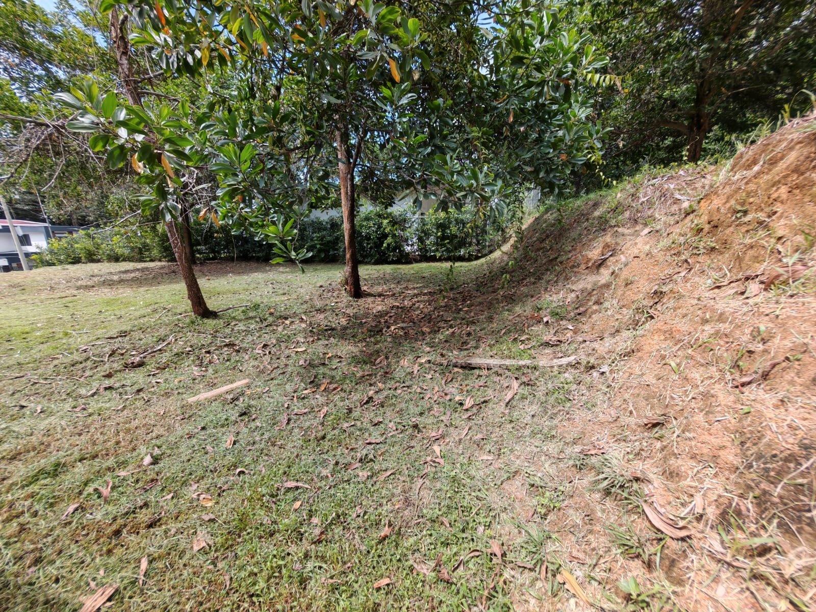 Prime Uvita Location! -  Build Ready Lot