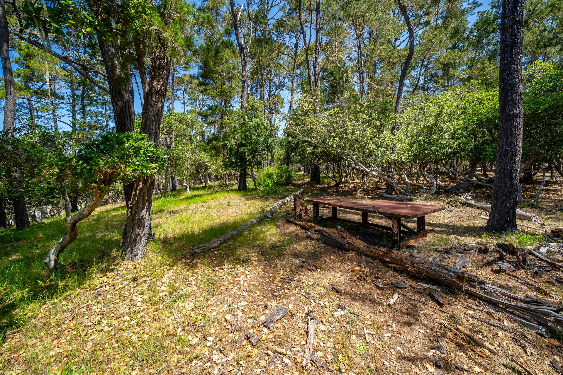 Serene Cambria Lot