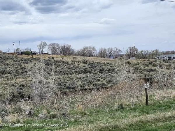 Scrub-covered hillside in Craig View with leafless trees and buildings along the ridge.