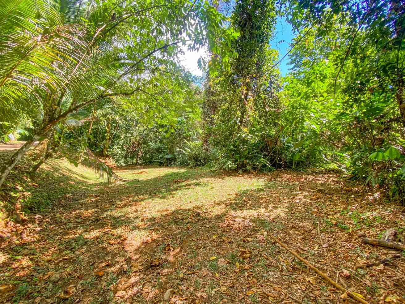 3 Bedroom Rainforest Home in Ojochal With River & Waterfall | 3.5 Acres Private