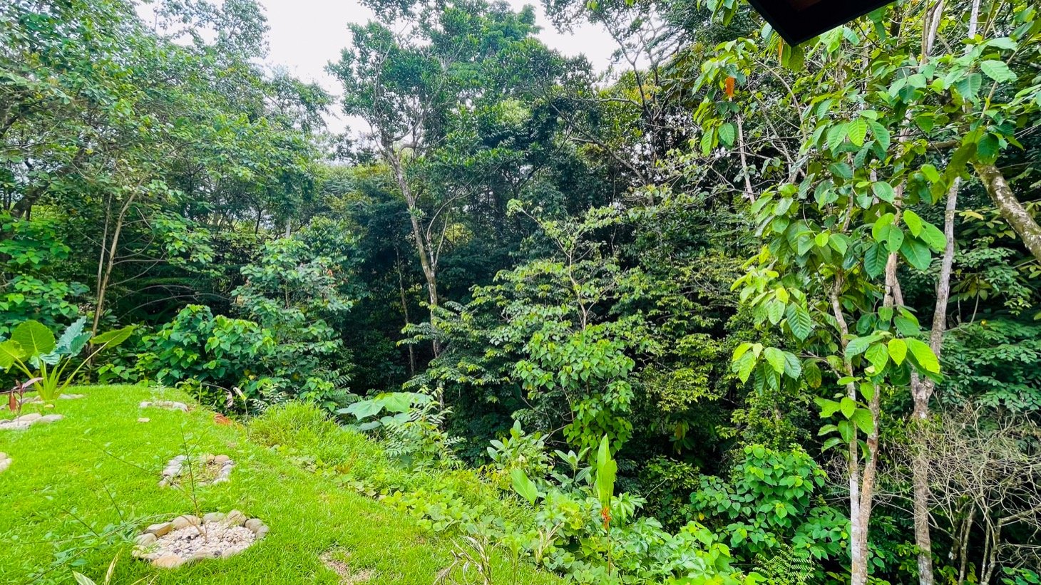 Brand New 2 Bedroom Home on Acreage Backing onto Jungle and Creek