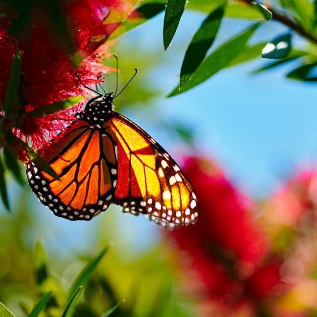 Best Things to do in Orlando in July: Events and More!