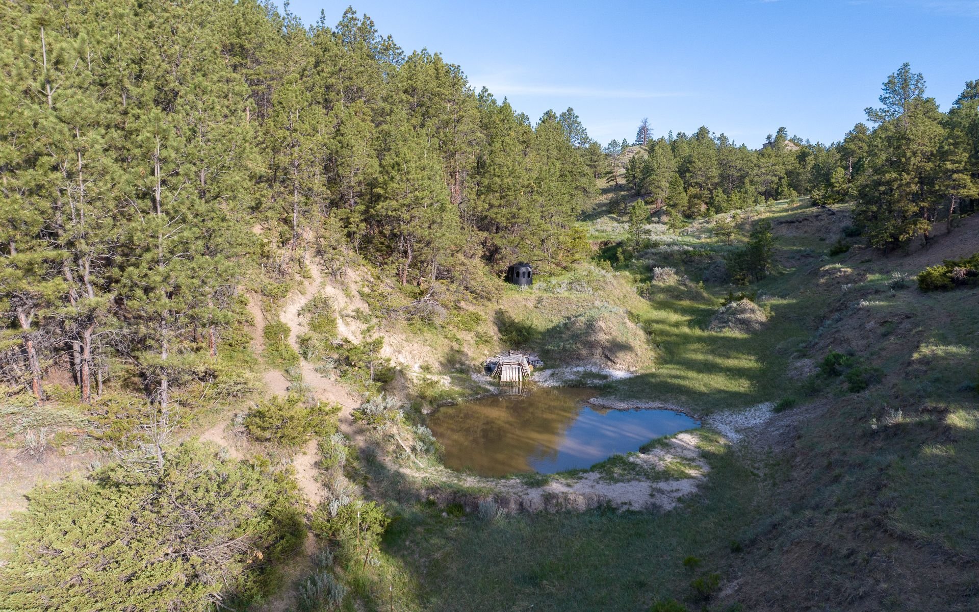 Elk Rich Ranch