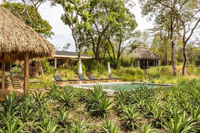 Thea Wellness Retreats
