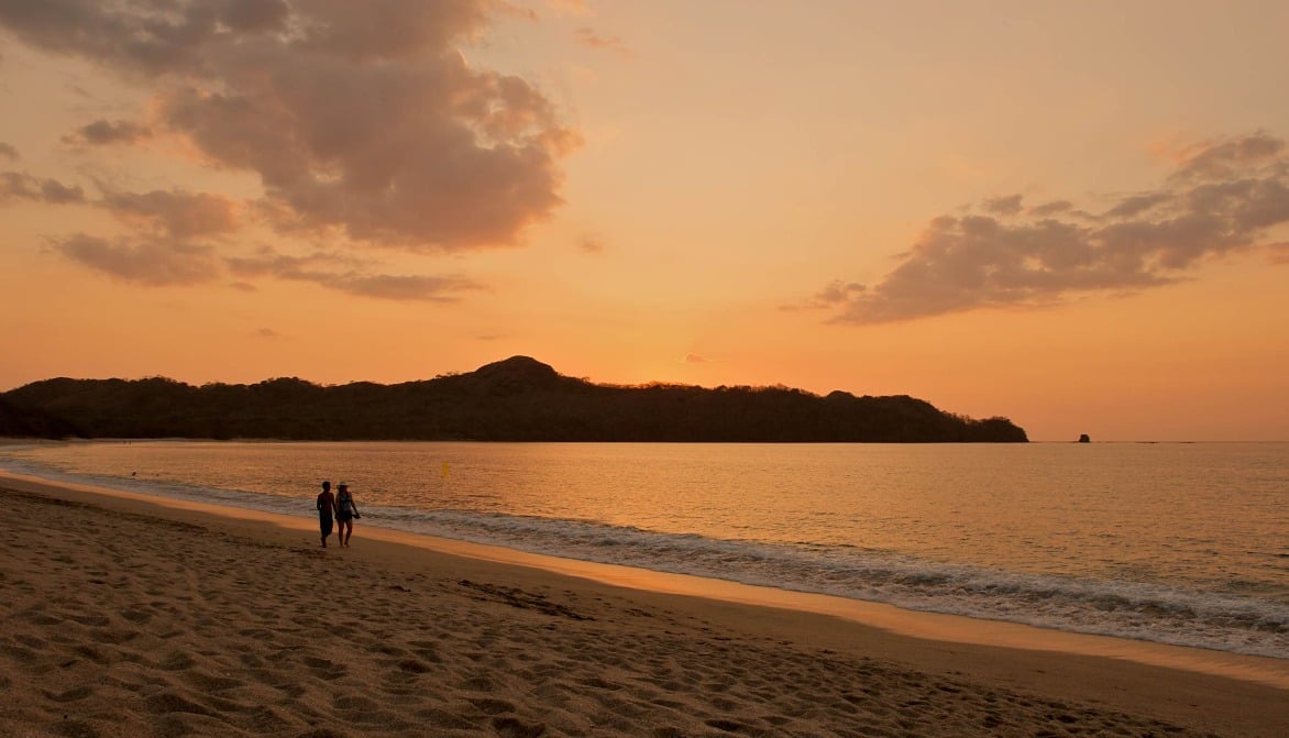 Laurel Residential Lot 14 | A Rare Forest Sanctuary – Design Your Private Luxury Home in Paradise!