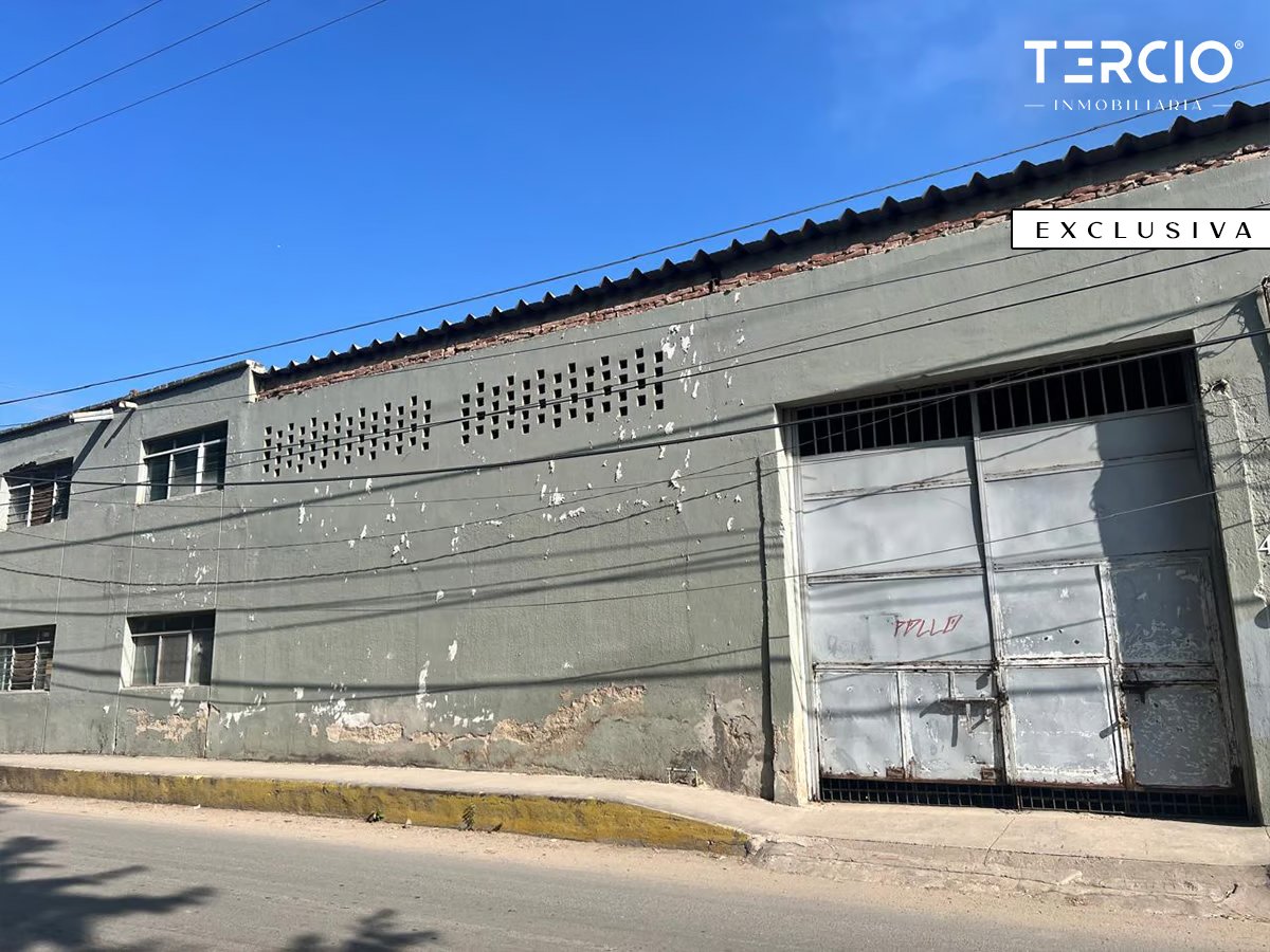 Propiedad en Renta uso de suelo Mixto Ameca $60,000.00 MN