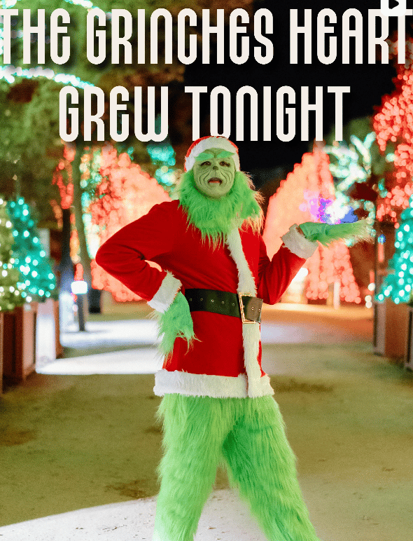 Garden of Lights Giveaway