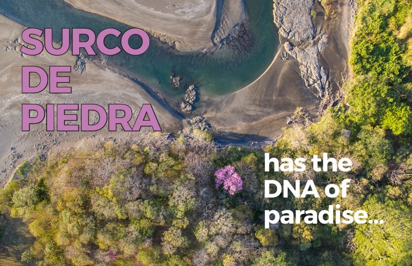 Surco de Piedra (Beachfront near Marbella)