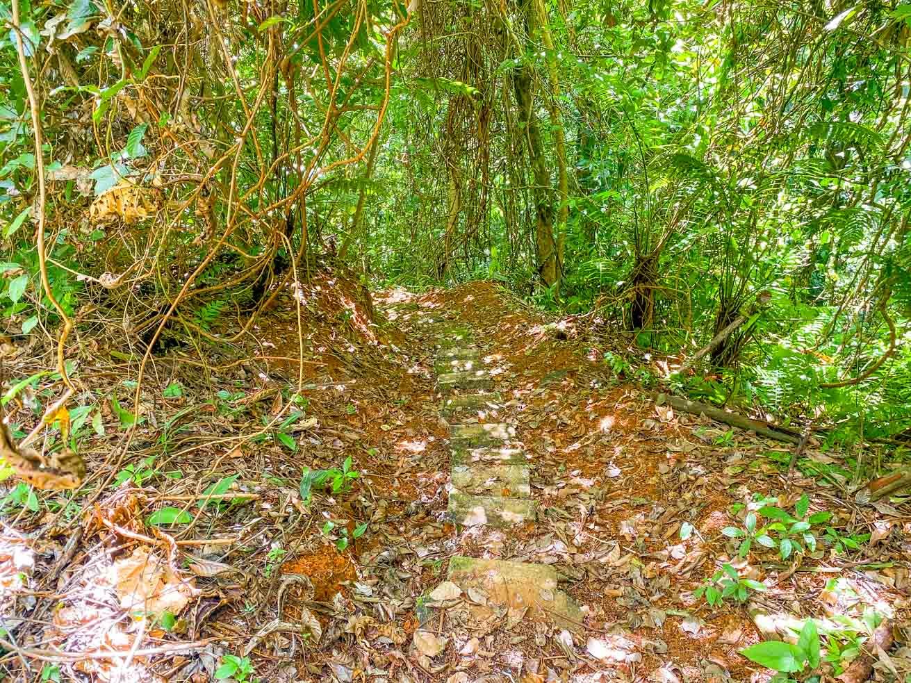 3 Bedroom Rainforest Home in Ojochal With River & Waterfall | 3.5 Acres Private