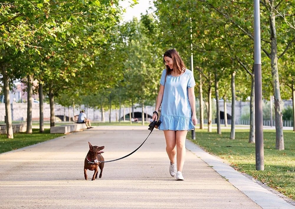 Woman walking a small brown dog on a tree-lined park path.