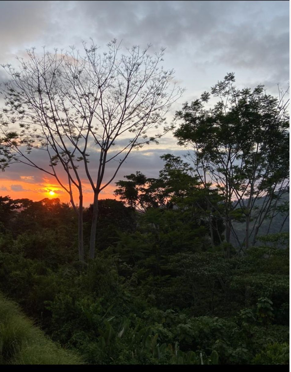 Build Amidst Untouched Jungle & Mountain Vistas | Ocean-View Estate with Fruit Orchards + Casita Design Your Vision in Tres Rios, Costa Rica