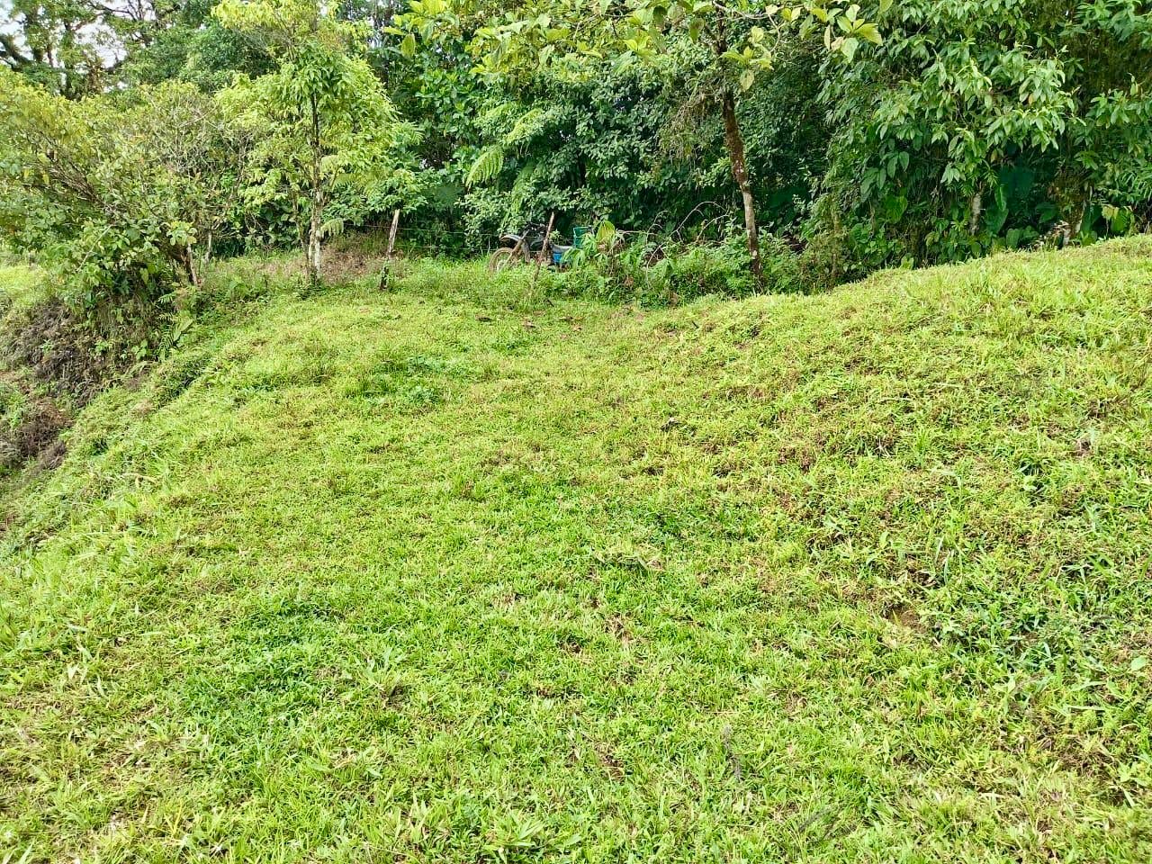 Los Cerritos Farm – 6.4 Acres of Ocean & Mountain Serenity