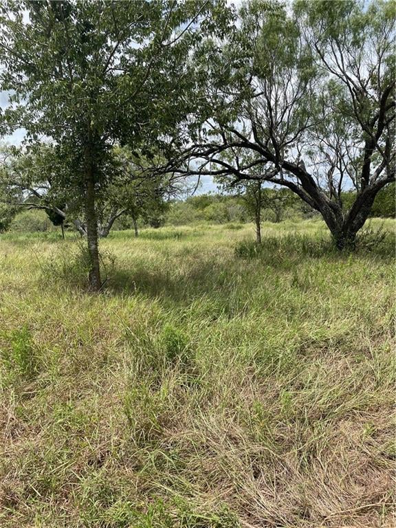 11.13 Acres Available By COTA!