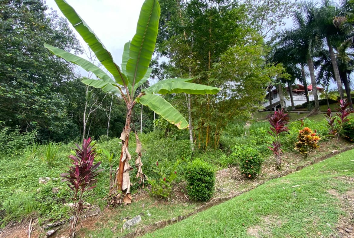 Build-Ready Lot for Sale in Ojochal – Palmera del Trópico Phase 9 | Gated Community, Nature & Beaches Nearby