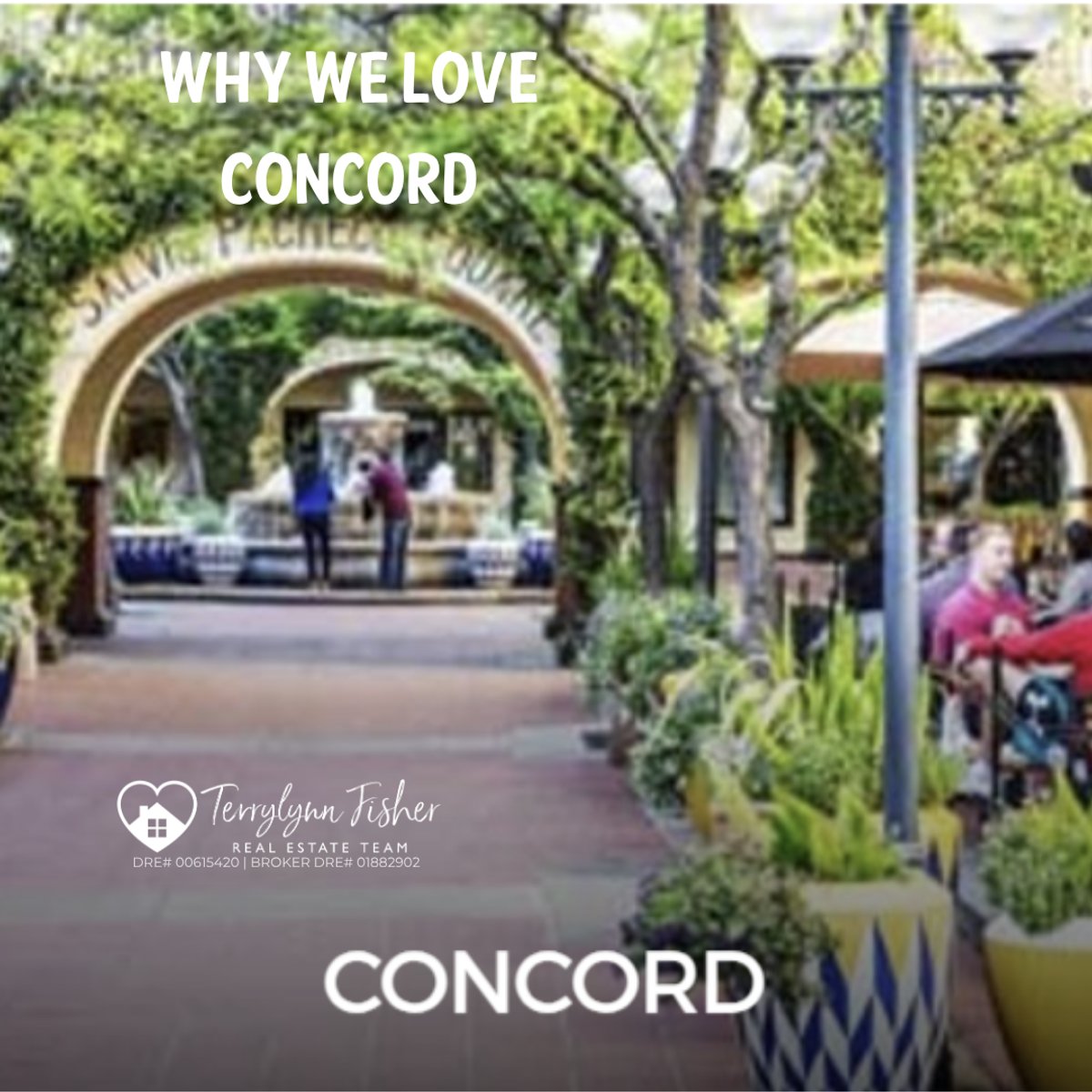 Why We Love Concord