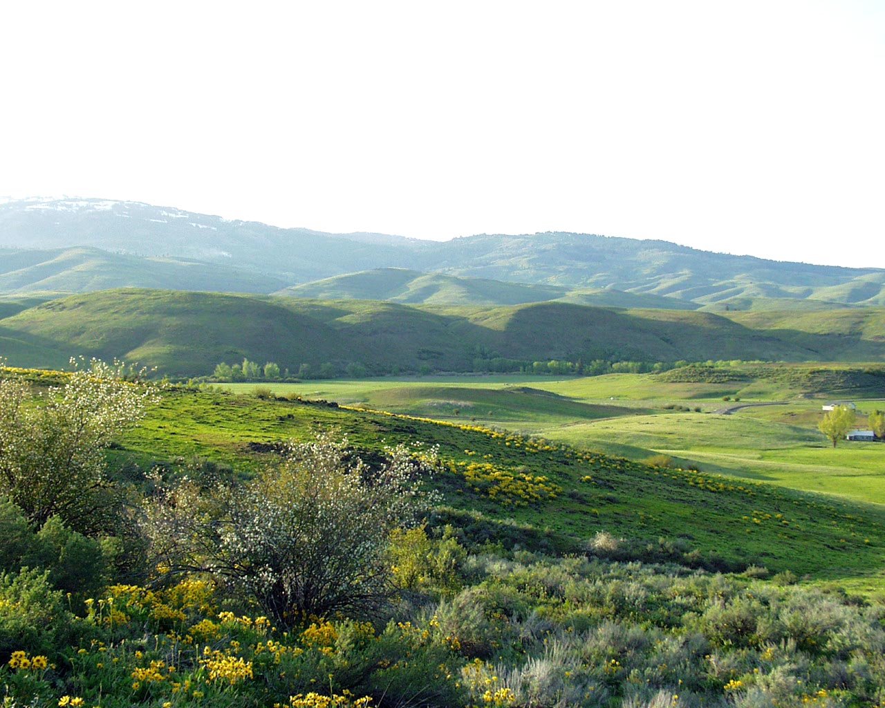 Cuddy Mountain Ranches