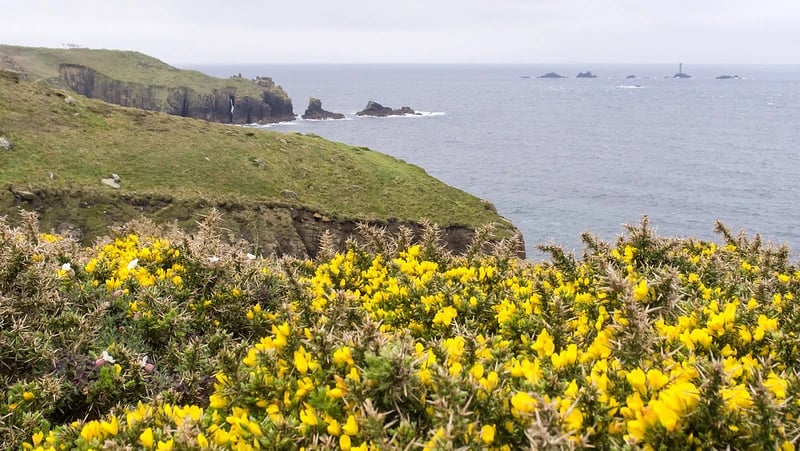 Coastal cliffs at Land&rsquo;s End with the Pacific Ocean in the distance and bright yellow wildflowers in the foreground.