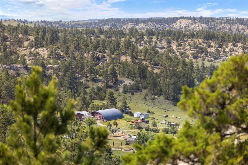 369 Border Trail