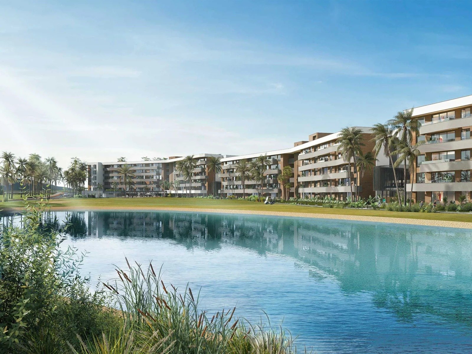 Palm View