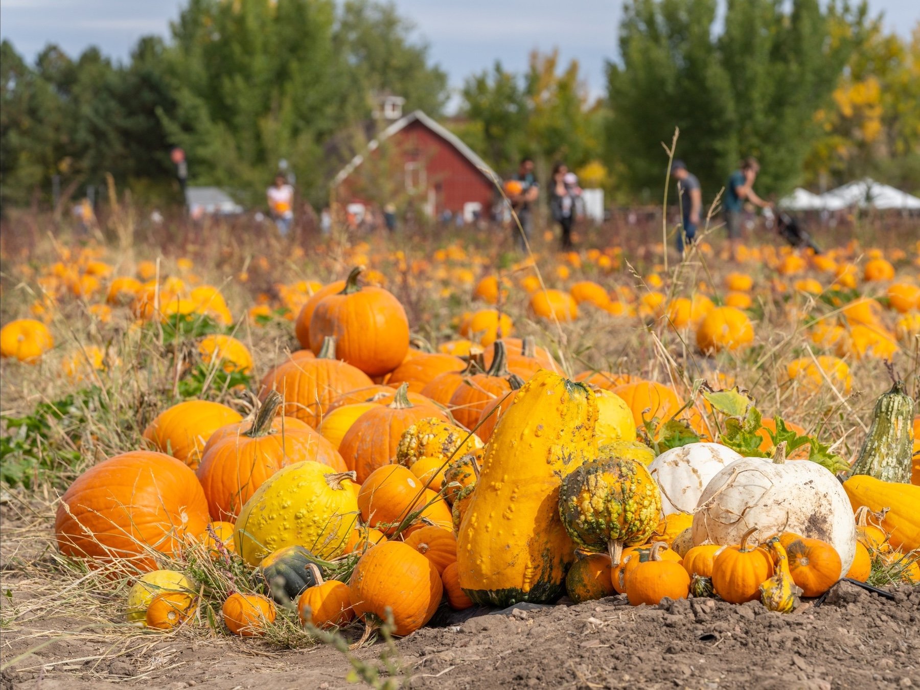 Family-friendly fall activities Denver