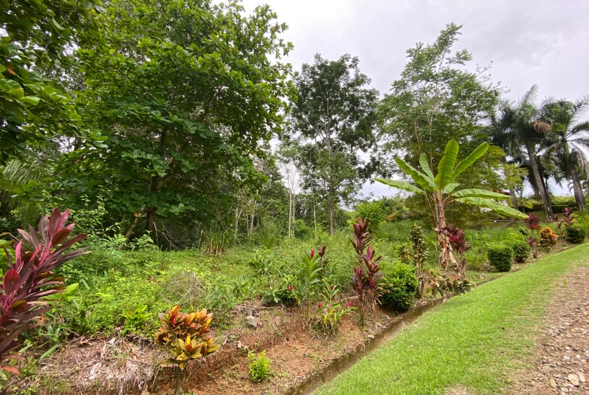 Build-Ready Lot for Sale in Ojochal – Palmera del Trópico Phase 9 | Gated Community, Nature & Beaches Nearby