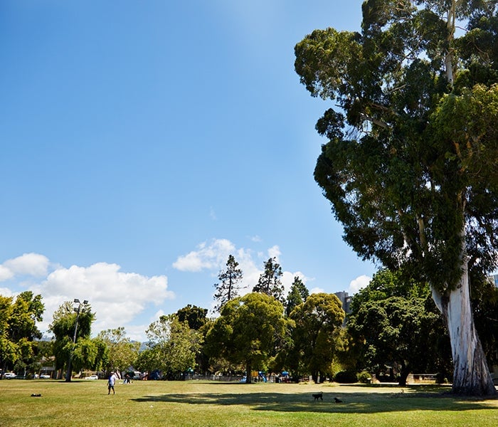 Temescal