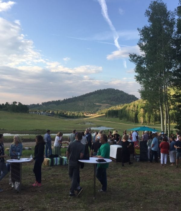 Music in the Meadows