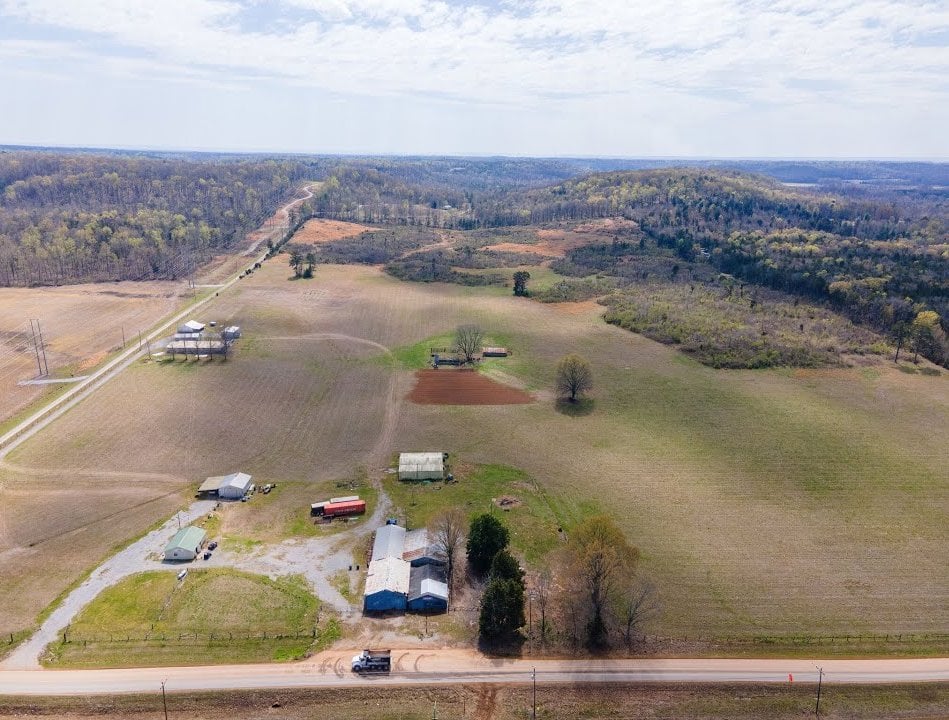 8374 County Road 222 in Trinity, AL - 80 Acres For Sale