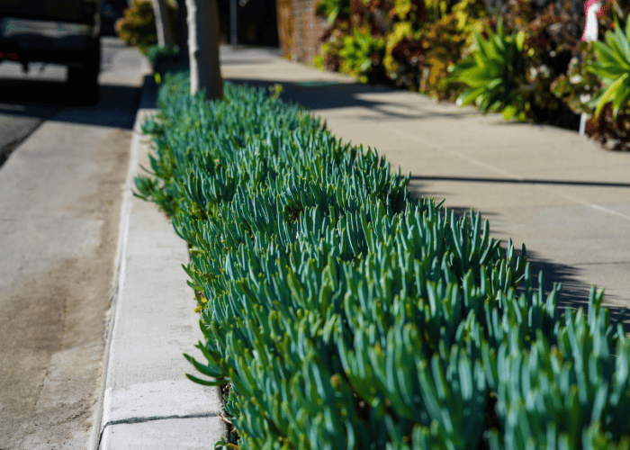 Understanding Defensible Space