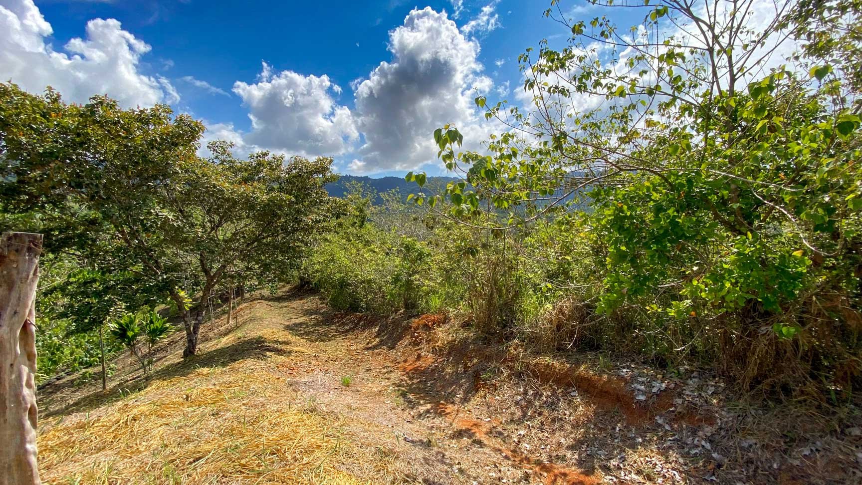 32-Acre Self-Sustainable Off-Grid Farm Near Ojochal with House, Solar Power & River