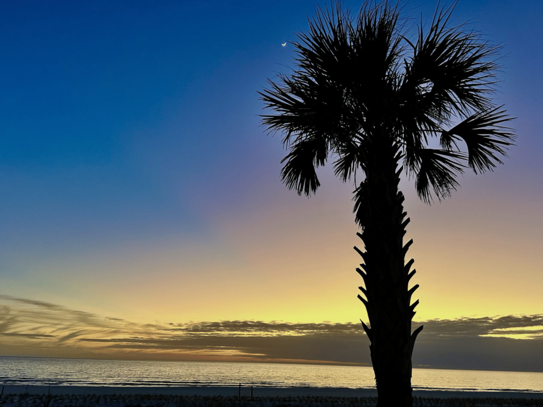 Real Estate Recap |March 7-13, 2026 | Mexico Beach - St. Joe Beach - WindMark cover