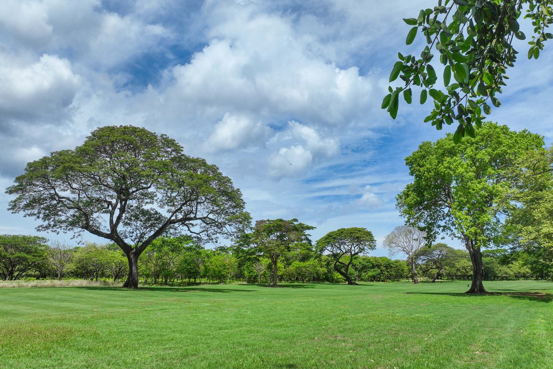 Rare Golf Front Estate Parcel | No HOA | 5,000m² in Hacienda Pinilla