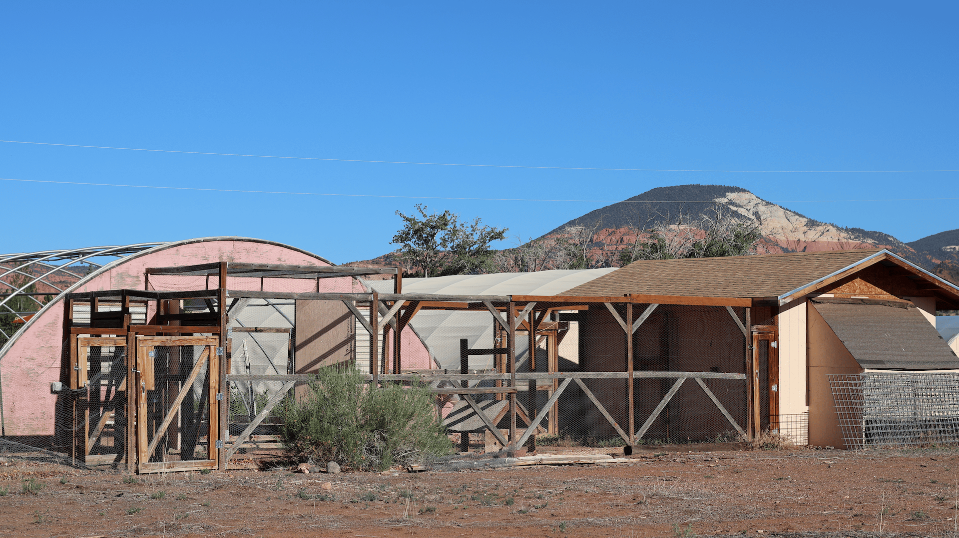 Torrey Land & Greenhouses