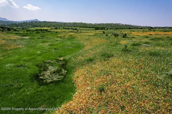 Open grassy meadow with wildflowers and low hills beneath a blue sky.