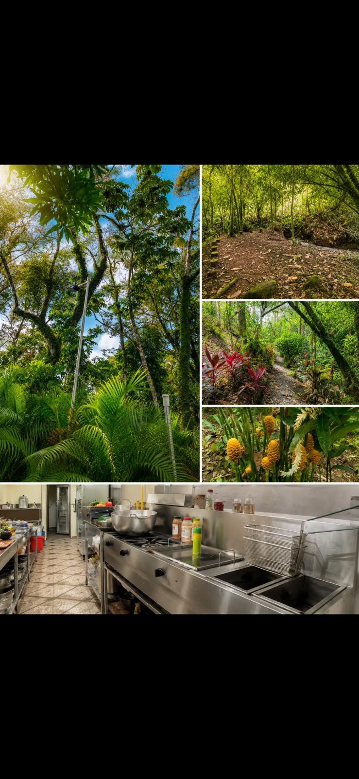 SAN RAMON / LA FORTUNA