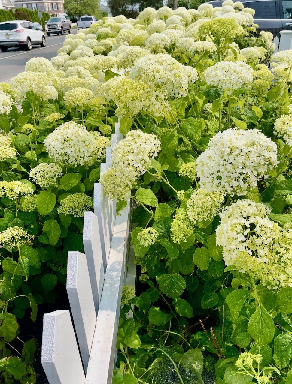 #344 Classic Bay Header