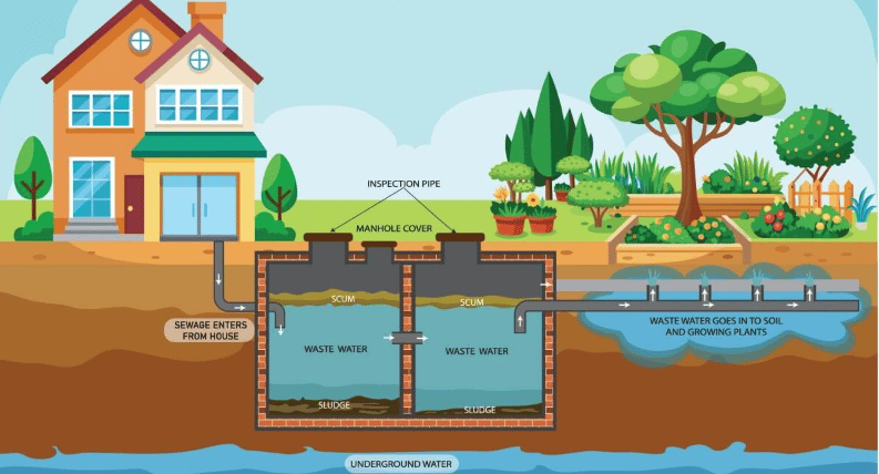 Illustrated diagram of a home's septic tank, showing wastewater flowing from the house to a garden drain field.