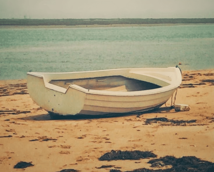 **The Moment the Cape Begins to Wake Up...**